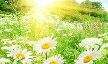 [2013暑期征文]遗落在街头的梦想_450字