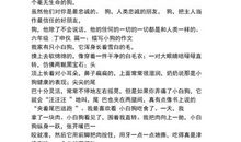 空气的自述_900字