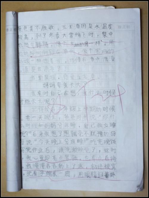 [2012年夏季论文]不变济南_1200字