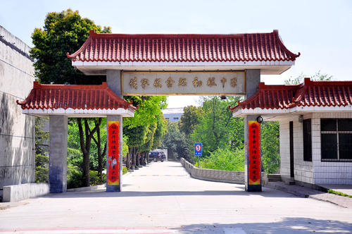 elock那个树金_1200字