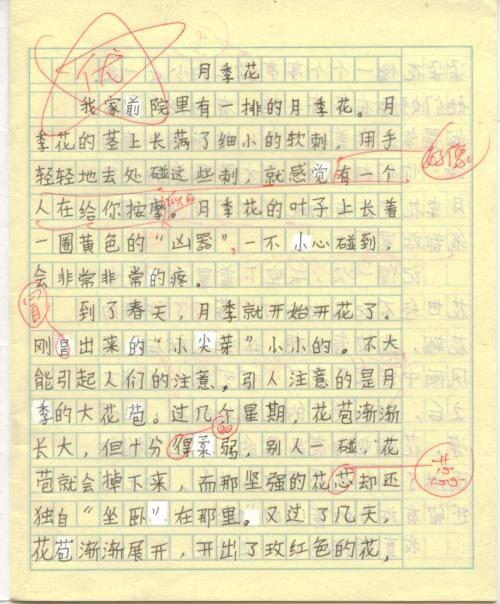 六年级文字：月光（4）_550字