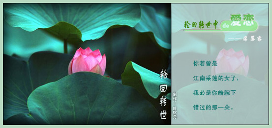 莫昕转回_50字