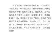 六年级状物作文：月季花（二）_500字