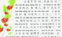 六年级状物作文：月季花（三）_450字