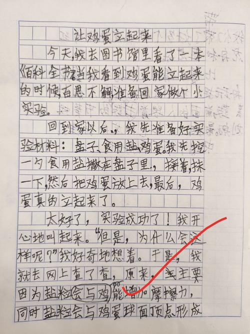 六年级日记：我的小实验_600字