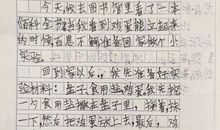 六年级日记：我的小实验_600字