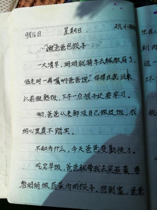 六年级日记：做出问题_700字