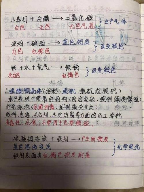 六年级日记：有意义的活动_650字
