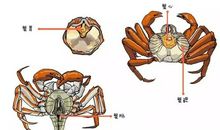 [2012暑期征文]又好又坏的雨_800字