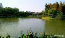 去河泥荡公园_250字