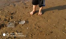 [2012暑期征文]海边之旅_2000字