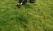 我愿化做一缕阳光_400字