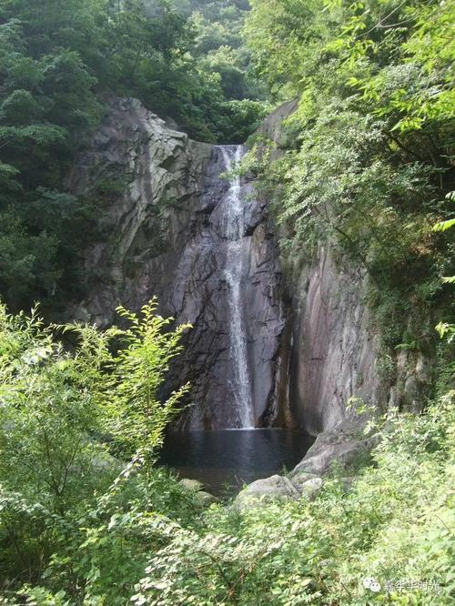 [2012年夏季论文]来自山的香_900字