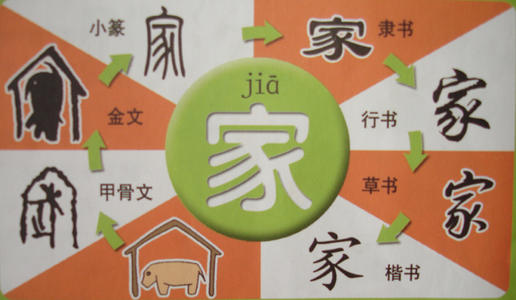 我家里的最多的东西_100字