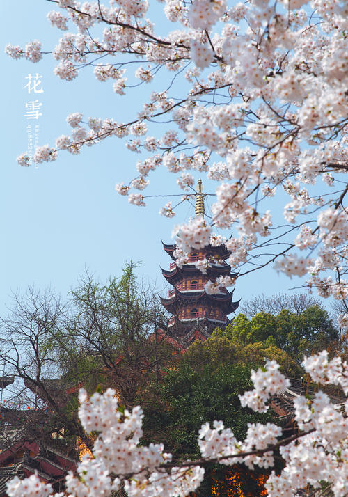 一个人_100字