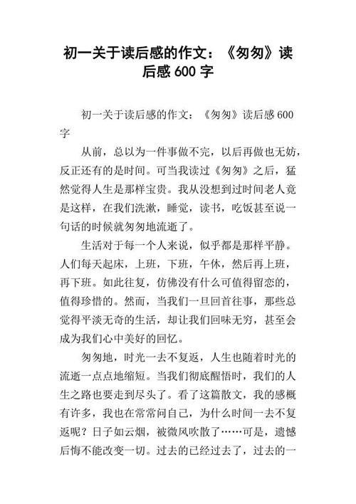 [2013年夏季论文]在阅读后的构成：阅读“匆忙”的感觉_600字