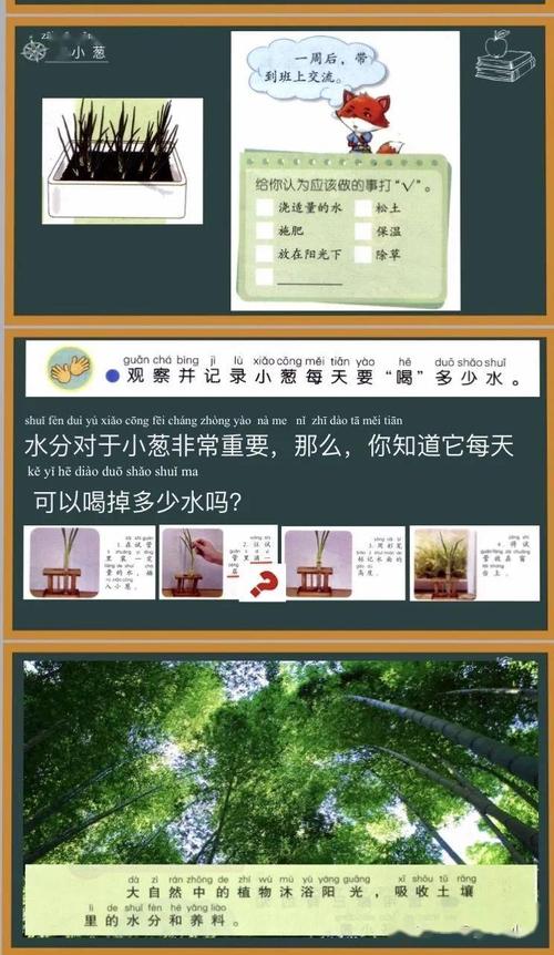 有趣的发现_200字