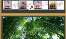 有趣的发现_200字