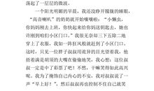 [2012暑期征文]多彩的暑假生活_450字