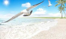 [2012暑期征文]浪花激荡的回忆_300字