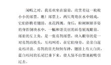 [2012暑期征文]最有意义的暑假_750字