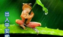 下雨的快乐_150字