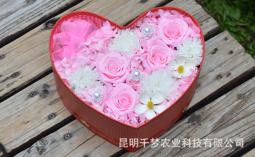 玫瑰花_50字