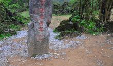 南盘江，你何时能变清_550字