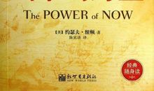 《执着的力量》有感_450字