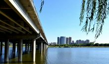 [2012暑期征文]观海_600字