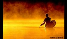 读《永远的布谷鸟》之《爸爸的看护者》有感_550字