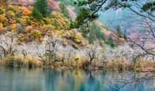 [2012暑期征文]美丽的九寨沟_550字