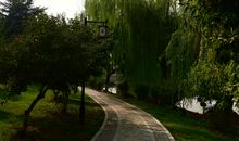 [2013暑期征文]夜游亭林公园_650字