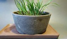 [2013暑期征文]邂逅三部曲_1500字