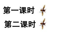 暑假征文：捅马蜂窝_1200字