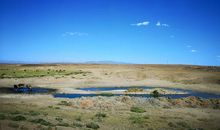 [暑假征文] 新疆之旅_1000字