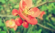 [2012暑期征文]那一刻，我的世界春暖花开_800字