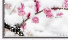 [2012暑期征文]素日梦媚_550字