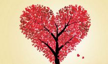 [2012暑期征文]读《爱的教育》有感_650字