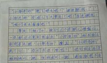 [2013暑假征文]暑假趣事_700字