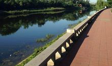 [2012暑期征文]早安，晨之美！_750字