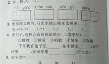 语文是什么？_250字