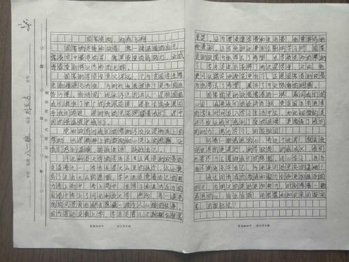 [2012年夏季论文]一个“红人梦想”和我一起成长_1000字