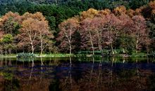 [2013暑假征文]行走的盛宴_900字