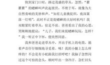 [2012暑期征文]暑假记事_900字