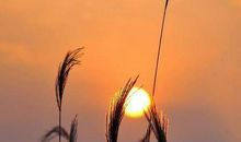 [2012暑期征文]笑语夕阳_900字