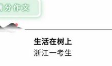 2020高考满分作文:心灵的轻松_600字