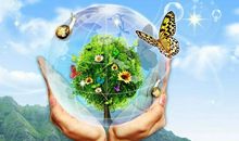 [2012暑期征文]读《感恩亲人》有感_1200字