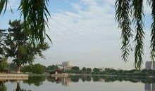 [2012暑期征文]大明湖的早晨_500字