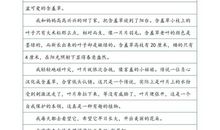 我和杜老师_350字